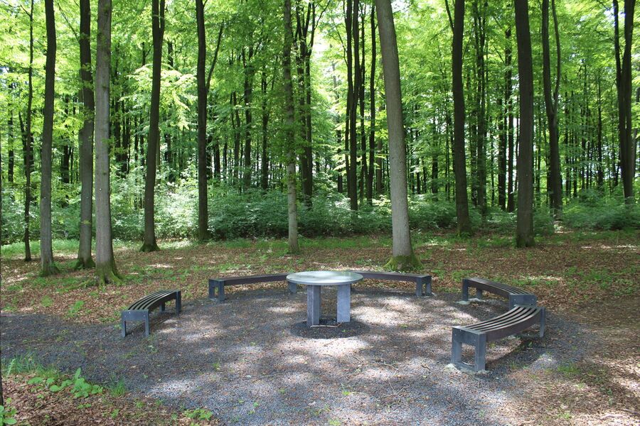 Ruhewald Rodenbach: Andachtsplatz im Buchenwald
